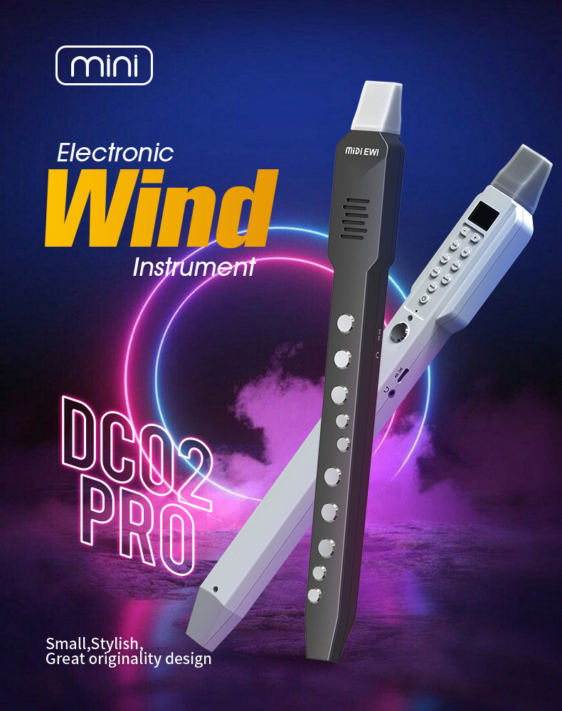 upgrade Mini Digital Electroni - Musical Instrument Lute recensione e prezzo