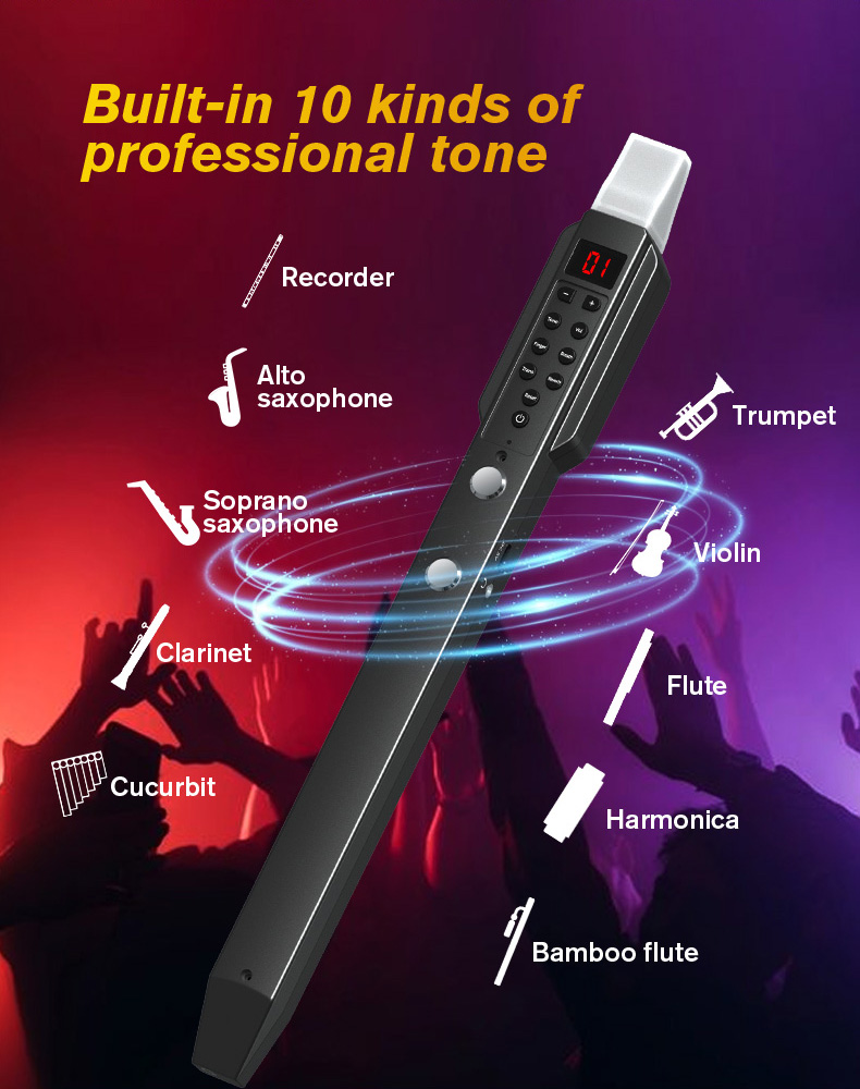 upgrade Mini Digital Electroni - Musical Instrument Lute recensione e prezzo
