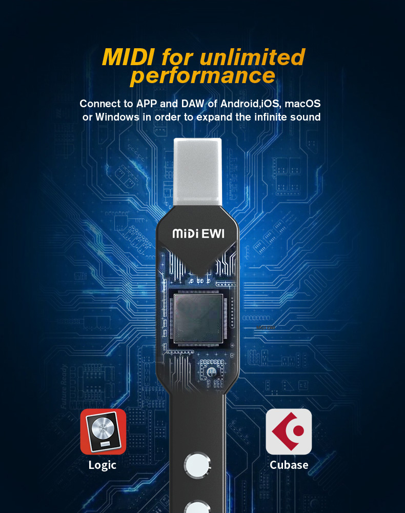 upgrade Mini Digital Electroni - Musical Instrument Lute recensione e prezzo