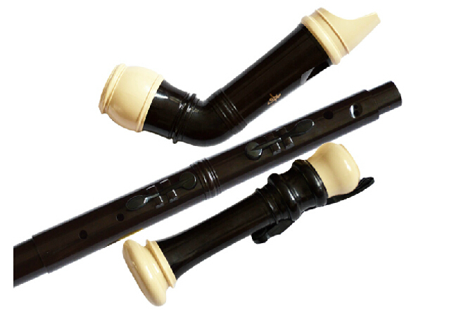 Professional 8 Holes Baroque B - Recorder Baroque Style recensione e prezzo