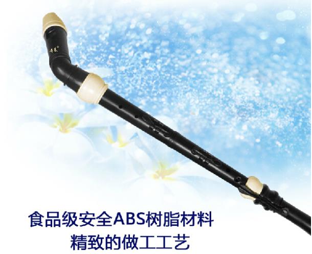 Professional 8 Holes Baroque B - Recorder Baroque Style recensione e prezzo