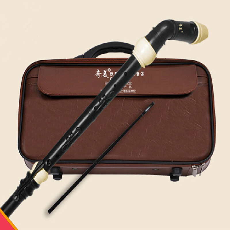 Professional 8 Holes Baroque B - Recorder Baroque Style recensione e prezzo