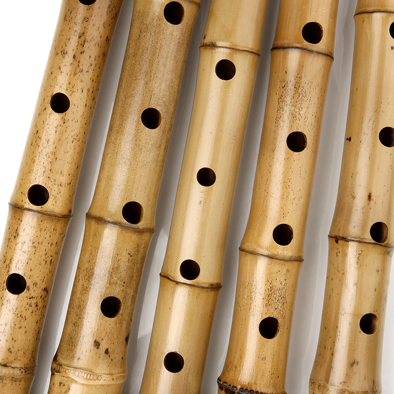 Vertical Bamboo Flute with Sha - Musical Instrument Lute recensione e prezzo