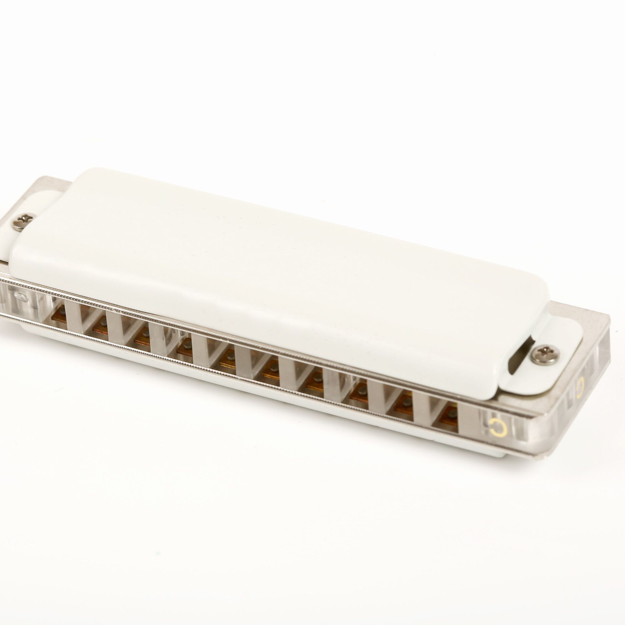 East top 10 hole harmonica pro - Musical Instrument Lute recensione e prezzo