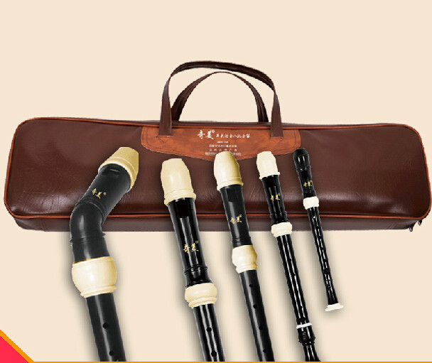 Full Set ABS Resin Recorder Fl - Recorder Baroque Style recensione e prezzo