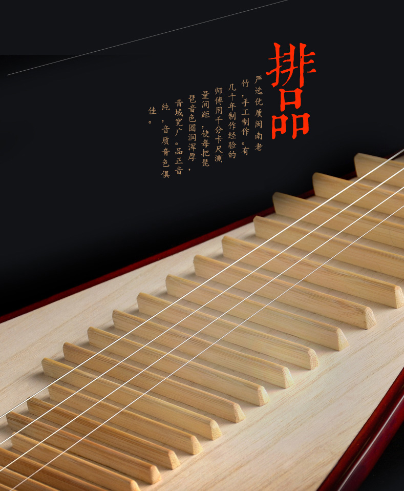 High Quality Professional Lute - Musical Instrument Lute recensione e prezzo