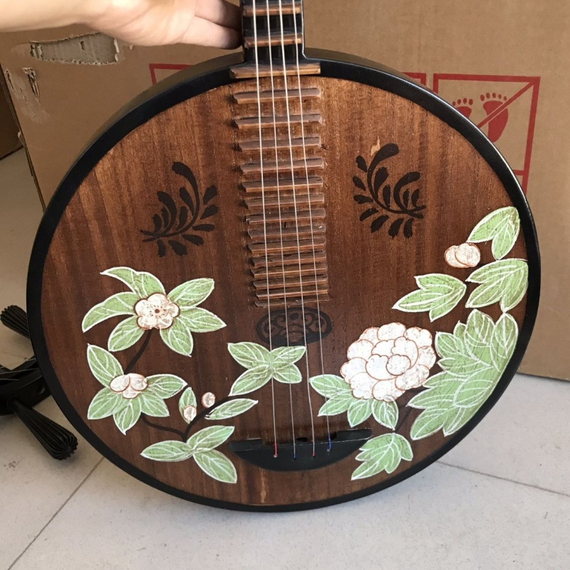 Solid Wood Pipa Chinese Tradit - Musical Instrument Lute recensione e prezzo