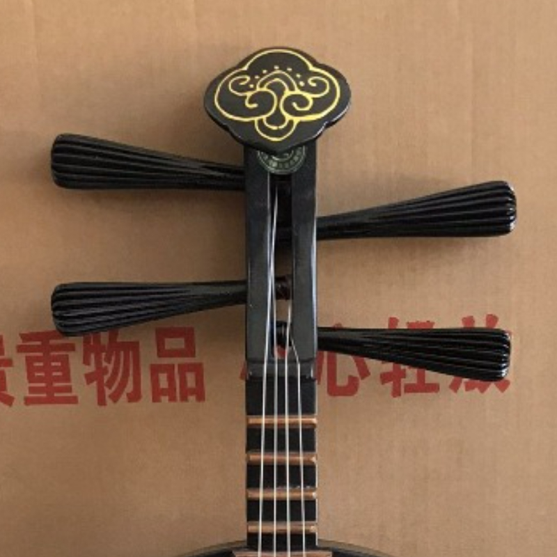 Solid Wood Pipa Chinese Tradit - Musical Instrument Lute recensione e prezzo